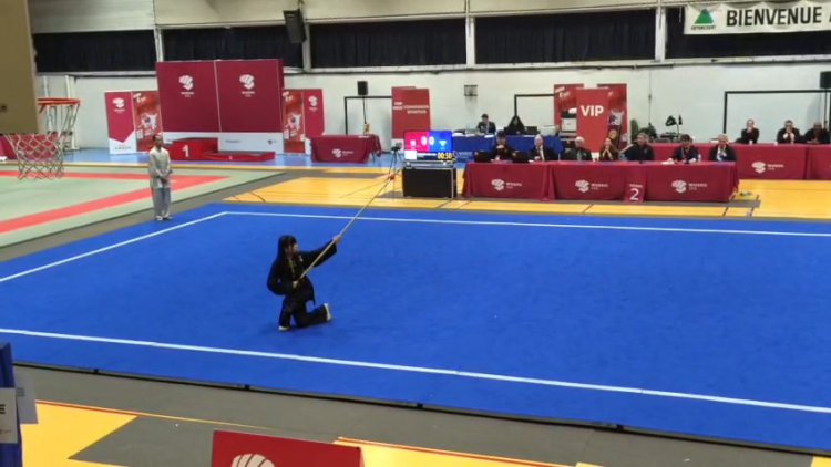 D�monstration pour la coupe de France de Wushu