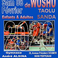 Perpignan - Championnat d'Occitanie de Wushu le 8 Février 2020