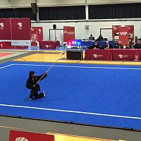 D�monstration pour la coupe de France de Wushu